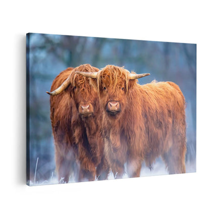 Canvas schilderij vooraanzicht Twee Schotse Hooglanders in de Sneeuw