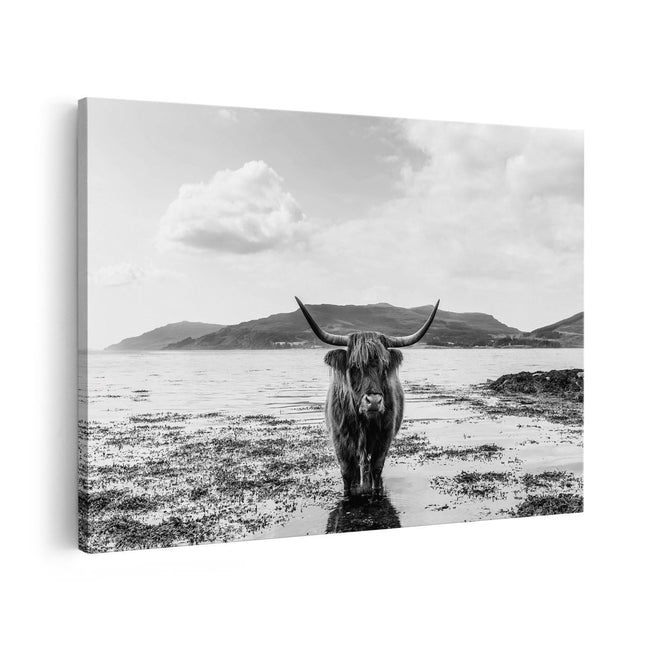 Canvas schilderij vooraanzicht Schotse Hooglander Koe in het Water - Zwart Wit