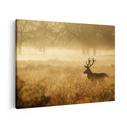 Canvas schilderij vooraanzicht Hert in het Veld tijdens de Mist