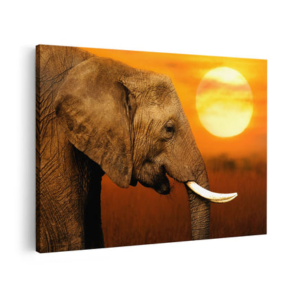 Canvas schilderij vooraanzicht Olifantenkop bij Zonsondergang - Olifant