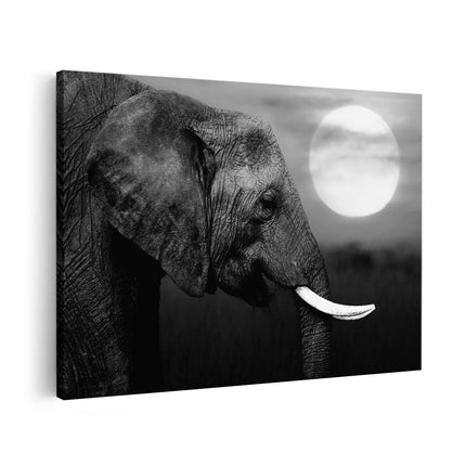 Canvas schilderij vooraanzicht Olifantenkop bij Zonsondergang - Olifant - Zwart Wit