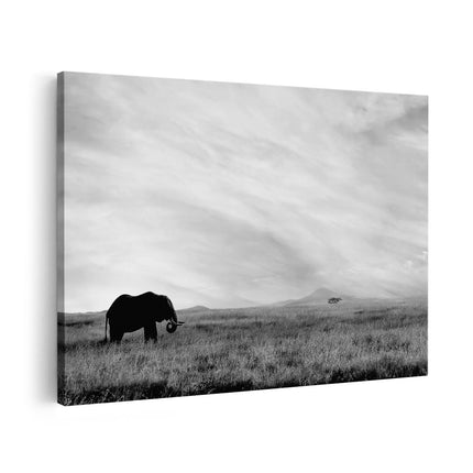 Canvas schilderij vooraanzicht Olifant in het Savanne Veld - Zwart Wit