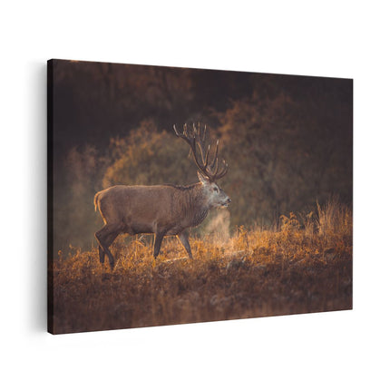 Canvas schilderij vooraanzicht Hert in het Gras met Mist