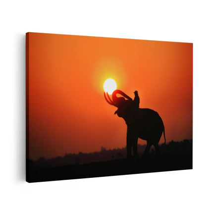 Canvas schilderij vooraanzicht Silhouet van een Olifant bij Zonsondergang