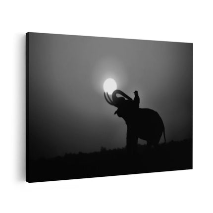 Canvas schilderij vooraanzicht Silhouet van een Olifant bij Zonsondergang - Zwart Wit