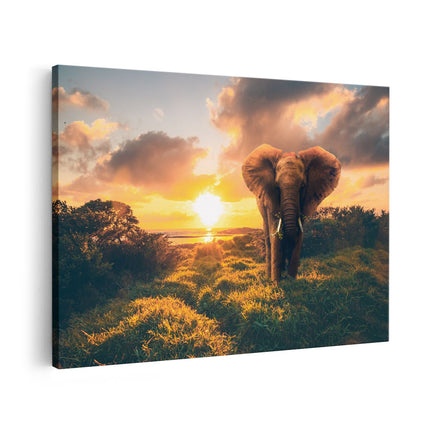 Canvas schilderij vooraanzicht Olifant in het Wild bij Zonsondergang