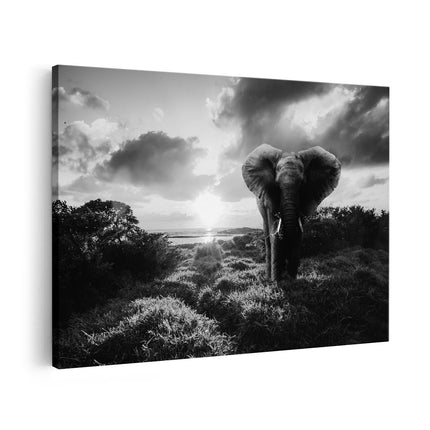 Canvas schilderij vooraanzicht Olifant in het Wild bij Zonsondergang - Zwart Wit