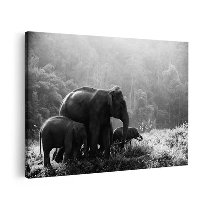 Canvas schilderij vooraanzicht Olifanten Familie in de Jungle - Olifant - Zwart Wit