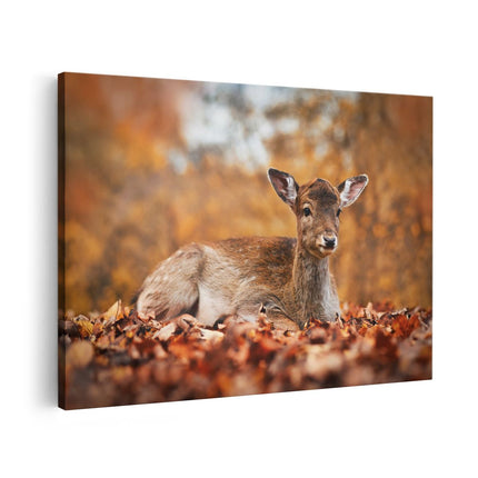 Canvas schilderij vooraanzicht Baby Hert tussen de Bladeren in een Herfst Bos