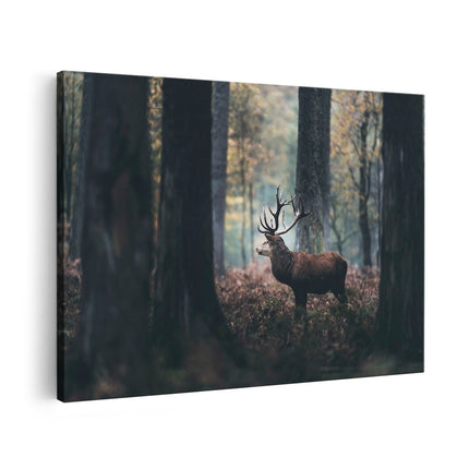 Canvas schilderij vooraanzicht Hert in het Bos