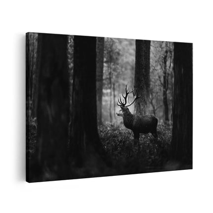 Canvas schilderij vooraanzicht Hert in het Bos - Zwart Wit