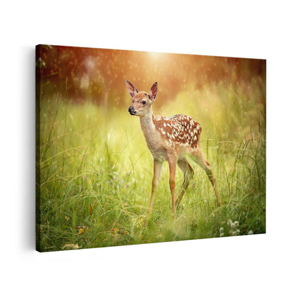 Canvas schilderij vooraanzicht Baby Hert in het Gras - Bambi