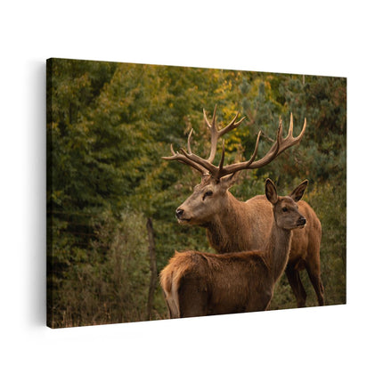 Canvas schilderij vooraanzicht Twee Herten in het Bos