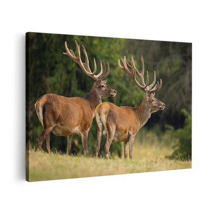 Canvas schilderij vooraanzicht Twee Herten in het Bos met Grote Gewei