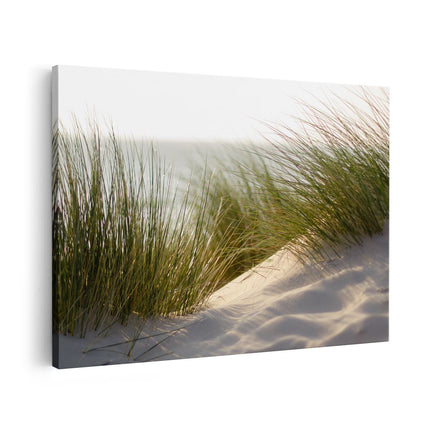 Canvas schilderij vooraanzicht Strand en Duinen