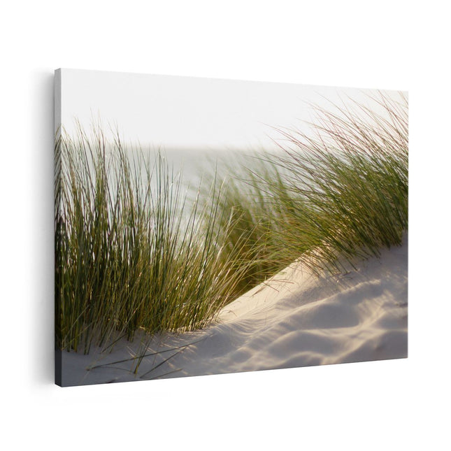 Canvas schilderij vooraanzicht Strand en Duinen