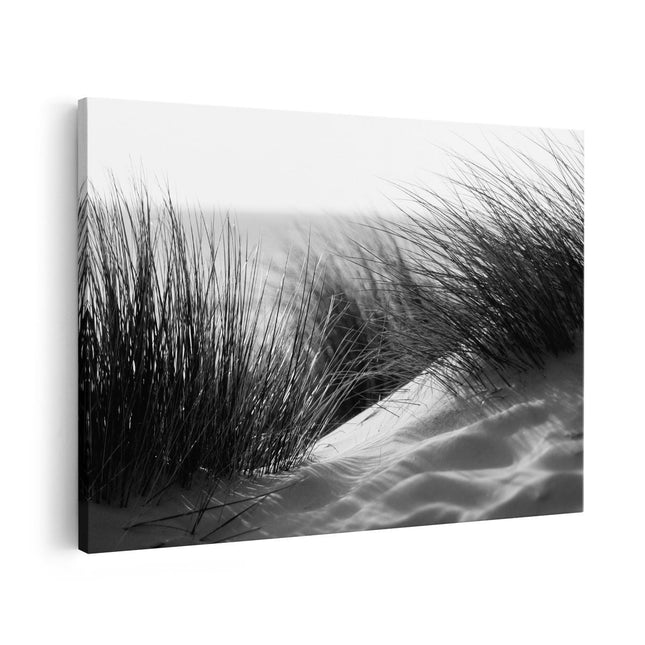 Canvas schilderij vooraanzicht Strand en Duinen - Zwart Wit