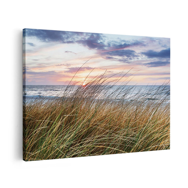 Canvas schilderij vooraanzicht Duinen Planten met Zee en Zonsondergang - Duinen