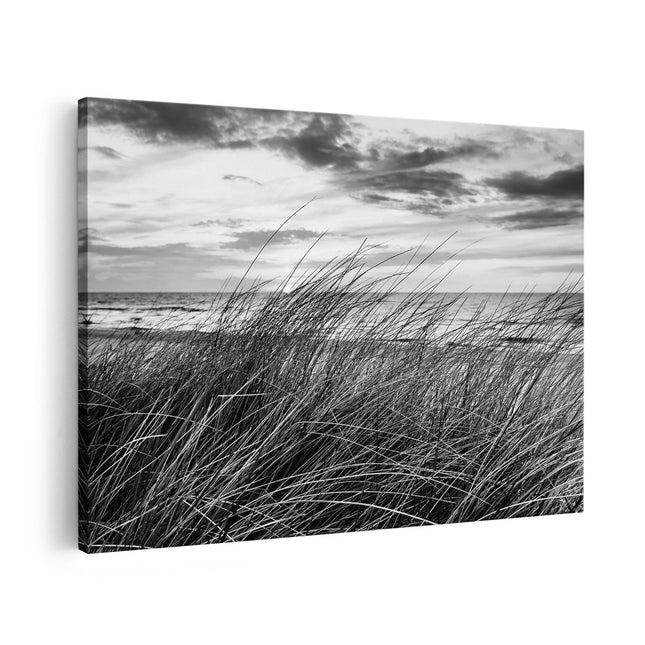 Canvas schilderij vooraanzicht Duinen Planten met Zee en Zonsondergang - Duinen - Zwart Wit