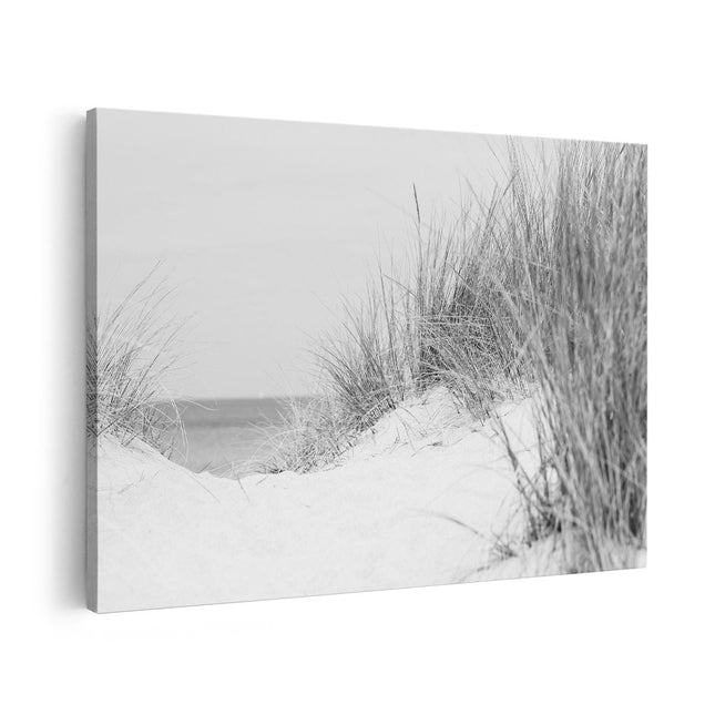Canvas schilderij vooraanzicht Duinplanten met Zand en Zee - Duinen - Zwart Wit