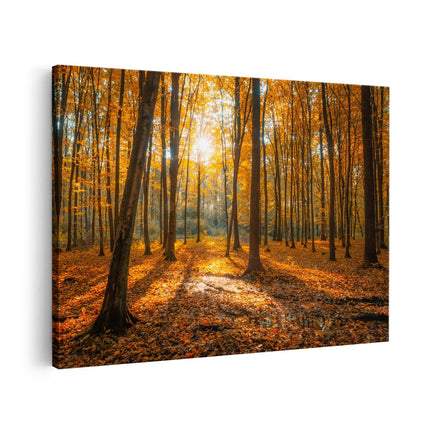 Canvas schilderij vooraanzicht Herfst in Bos