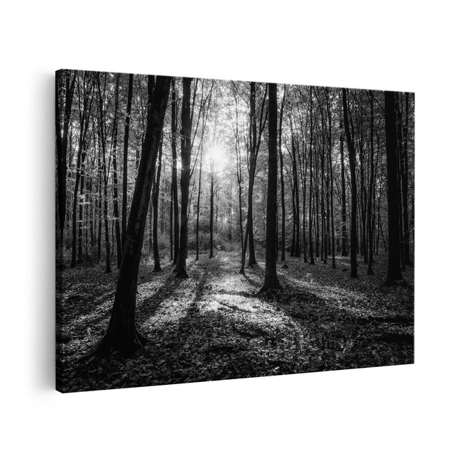 Canvas schilderij vooraanzicht Herfst in Bos - Zwart Wit