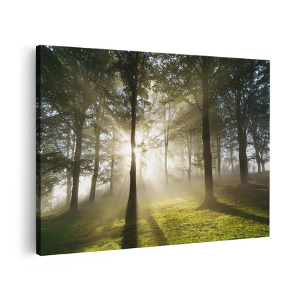 Canvas schilderij vooraanzicht Zon tussen de Bomen