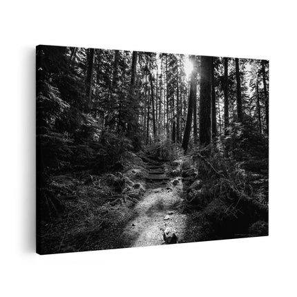 Canvas schilderij vooraanzicht Voetpad in het Bos - Zwart Wit