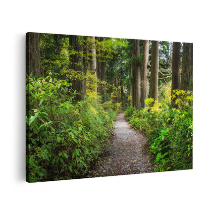 Canvas schilderij vooraanzicht Voetpad in het Bos