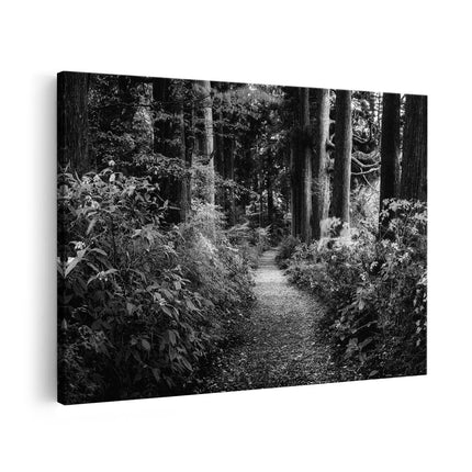 Canvas schilderij vooraanzicht Voetpad in het Bos - Zwart Wit