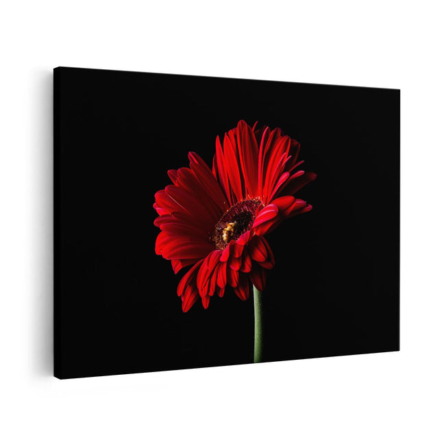 Canvas schilderij vooraanzicht Rode Gerbera Bloem 
