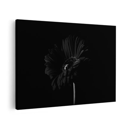 Canvas schilderij vooraanzicht Rode Gerbera Bloem  - Zwart Wit