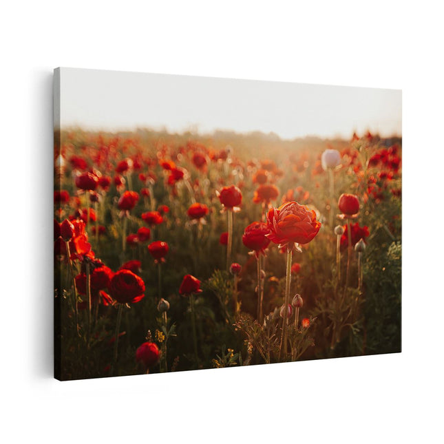 Canvas schilderij vooraanzicht Veld met Rode Bloemen