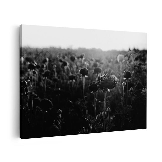 Canvas schilderij vooraanzicht Veld met Rode Bloemen - Zwart Wit