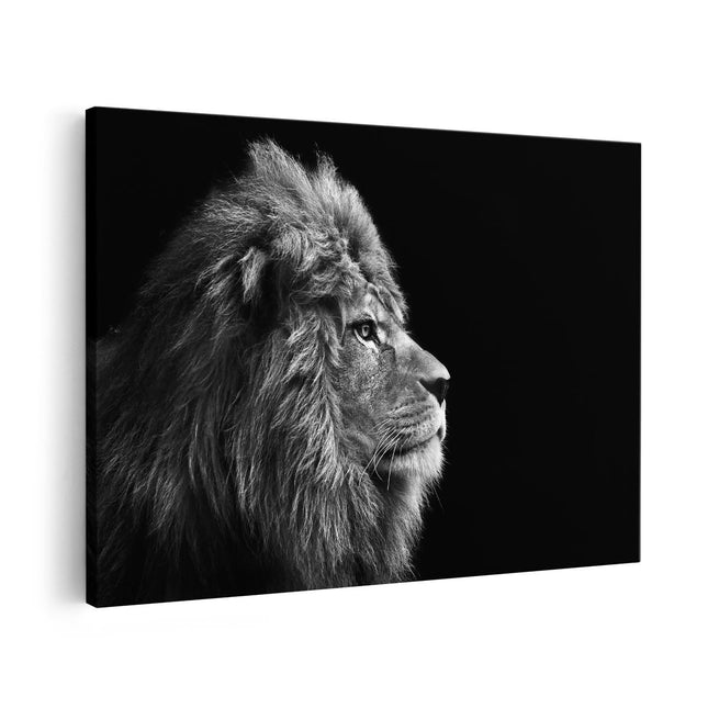 Canvas schilderij vooraanzicht Leeuwenkop - Leeuw - Zwart Wit