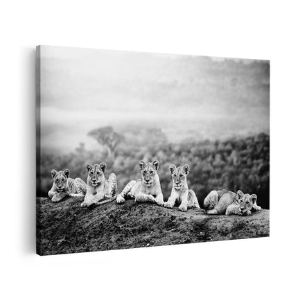 Canvas schilderij vooraanzicht Groep Welpen in het Wild - Baby Leeuwen - Zwart Wit