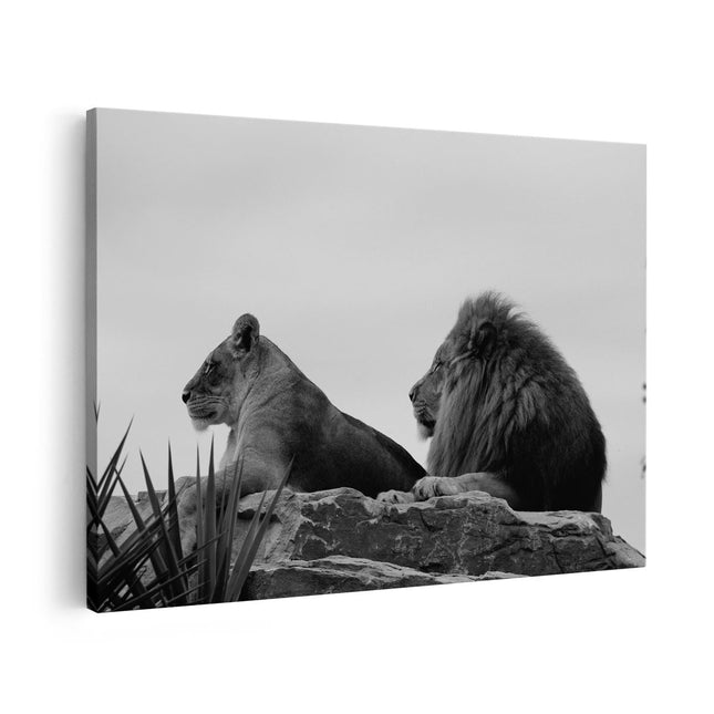 Canvas schilderij vooraanzicht Leeuw en Leeuwin op een Rots - Zwart Wit