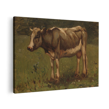 Canvas schilderij vooraanzicht Koe - Anton Mauve