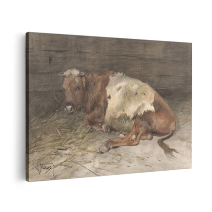 Canvas schilderij vooraanzicht Liggende Jonge Stier - Anton Mauve