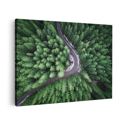 Canvas schilderij vooraanzicht Weg in het Bos - Natuur