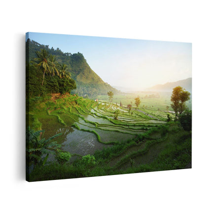 Canvas schilderij vooraanzicht Rijstvelden in Bali - Natuur