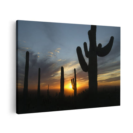 Canvas schilderij vooraanzicht Cactussen bij Zonsondergang in de Woestijn