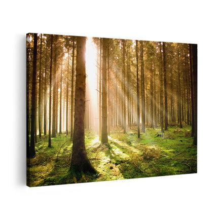 Canvas schilderij vooraanzicht Herfstbos - Bomen