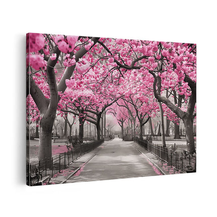 Canvas schilderij vooraanzicht Roze Bloesems in een Park