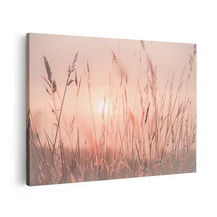 Canvas schilderij vooraanzicht De Zon gaat onder boven een Grasveld
