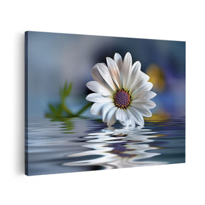 Canvas schilderij vooraanzicht Witte Margriet Weerspiegeld in Water