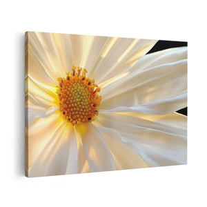 Canvas schilderij vooraanzicht Close-Up van een Witte Bloem