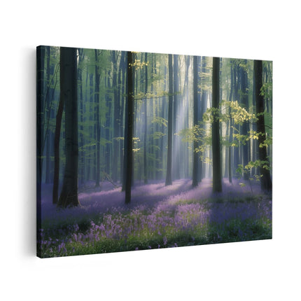 Canvas schilderij vooraanzicht Paars Bos met Zonlicht dat door de Bomen Schijnt