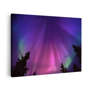 Canvas schilderij vooraanzicht De Aurora Borealis Verlicht de Hemel