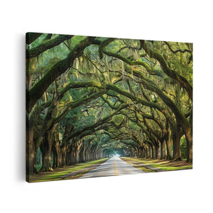 Canvas schilderij vooraanzicht Met Bomen Omzoomde Weg in Charleston, Zuid-Carolina
